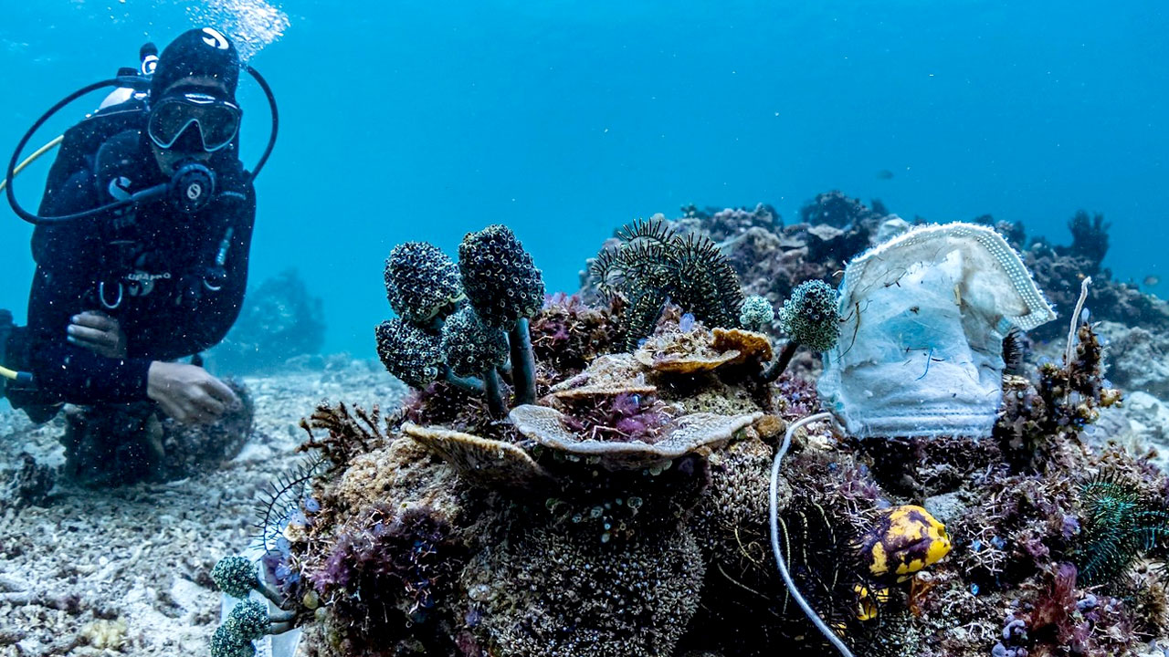 У Філіппінах морські рифи засмітили одноразовими масками
